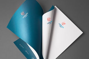 长帆集团企业形象设计与国内贸易代理服务的整合策略